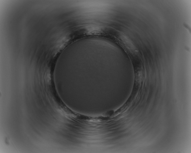 X0000097790508200803071415