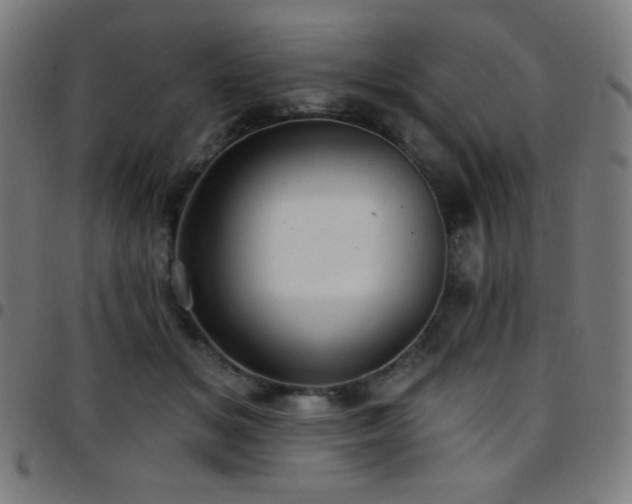X0000097790509200803071415