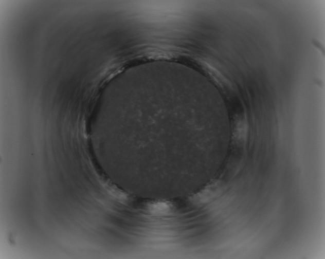 X0000097790513200803071415