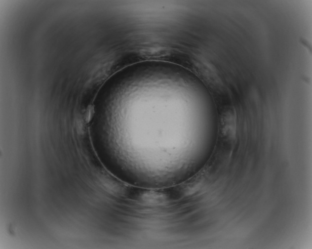 X0000097790515200803071415