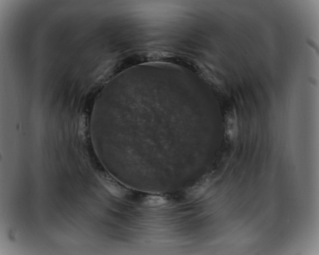 X0000097790519200803071415
