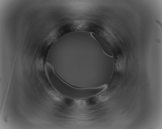 X0000097790520200803071415