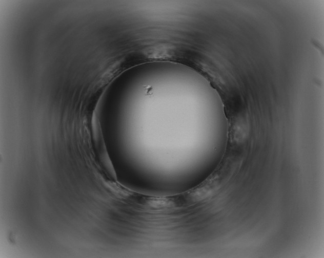 X0000097790521200803071415