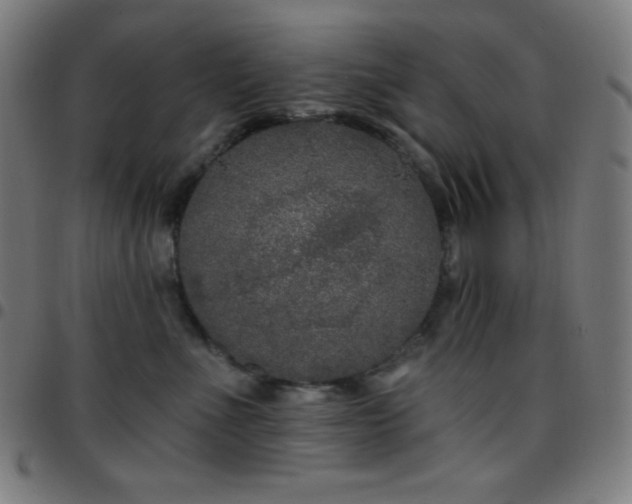 X0000097790523200803071415