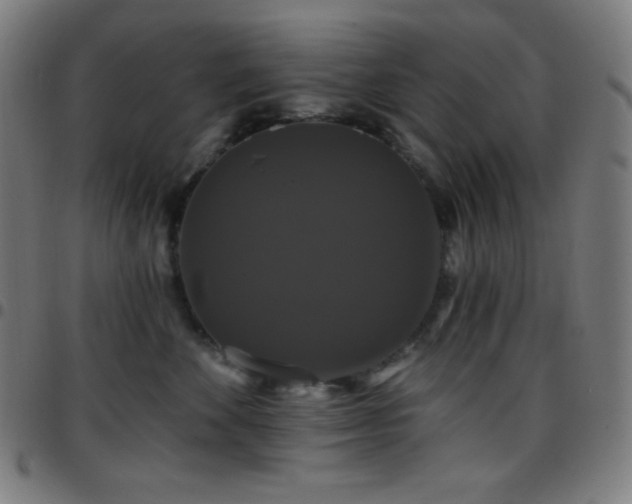 X0000097790524200803071415