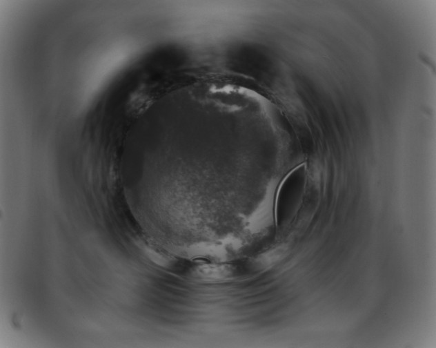 X0000097790526200803071415