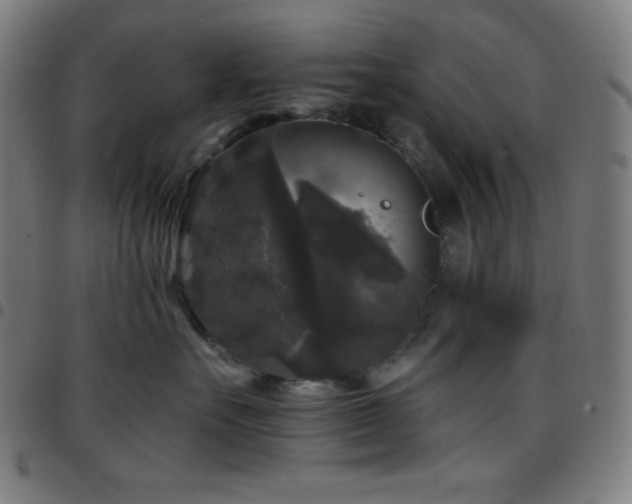 X0000097790527200803071415
