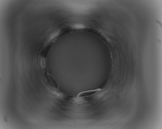 X0000097790528200803071415