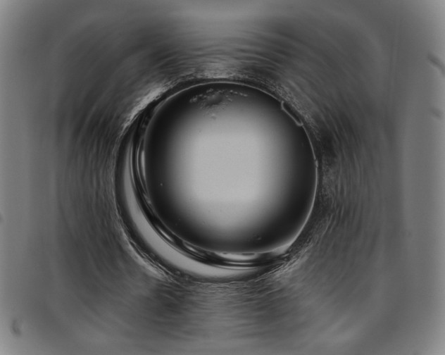 X0000097790530200803071414
