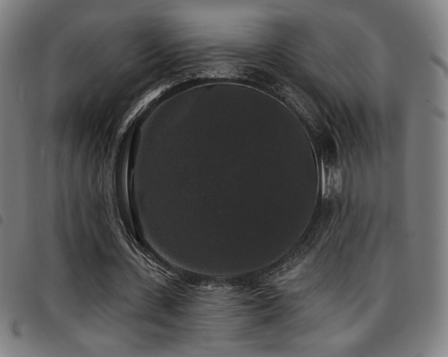 X0000097790531200803071414
