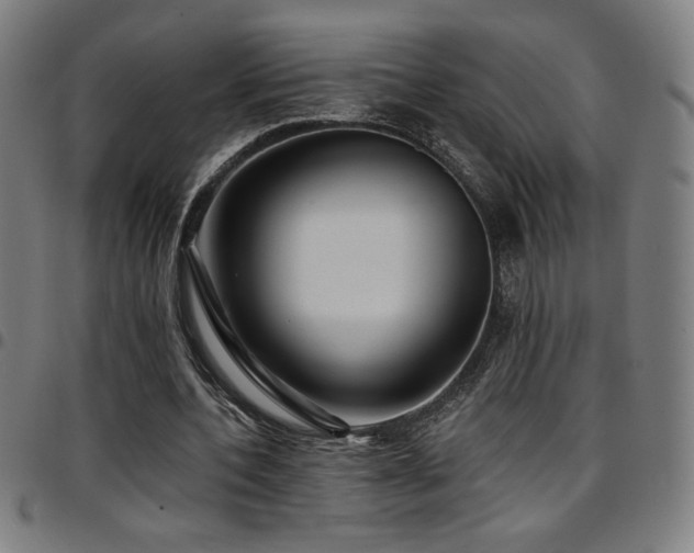X0000097790532200803071414