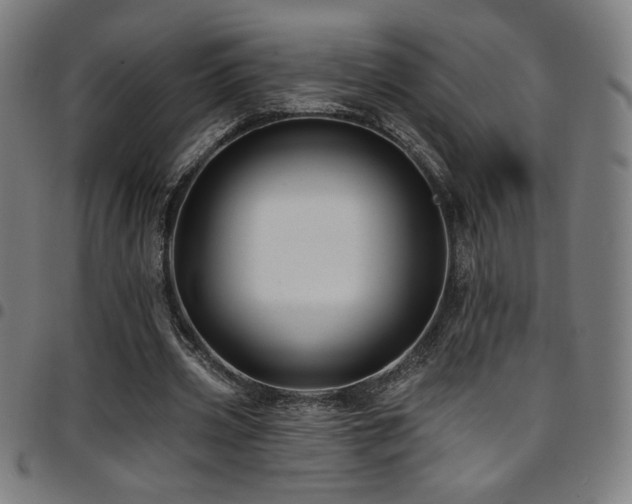 X0000097790533200803071414