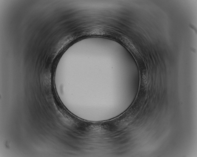 X0000097790534200803071414