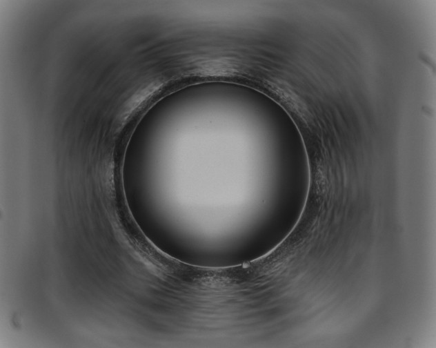 X0000097790535200803071414