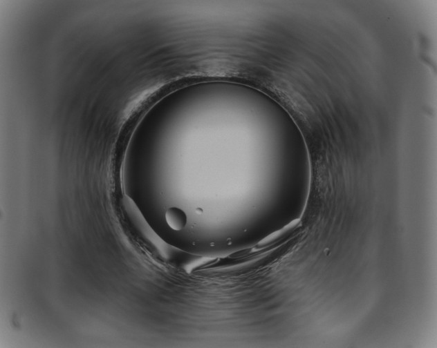 X0000097790536200803071414