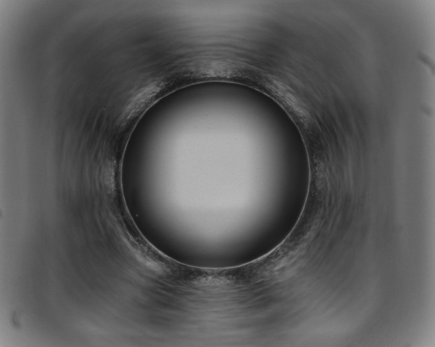 X0000097790537200803071414