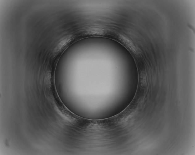 X0000097790538200803071414