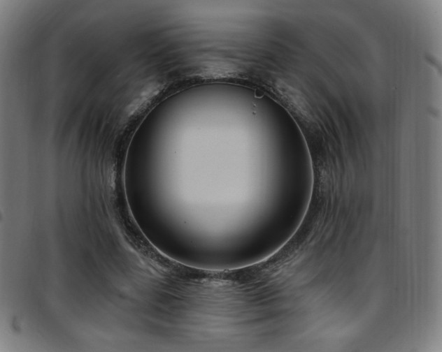 X0000097790539200803071414