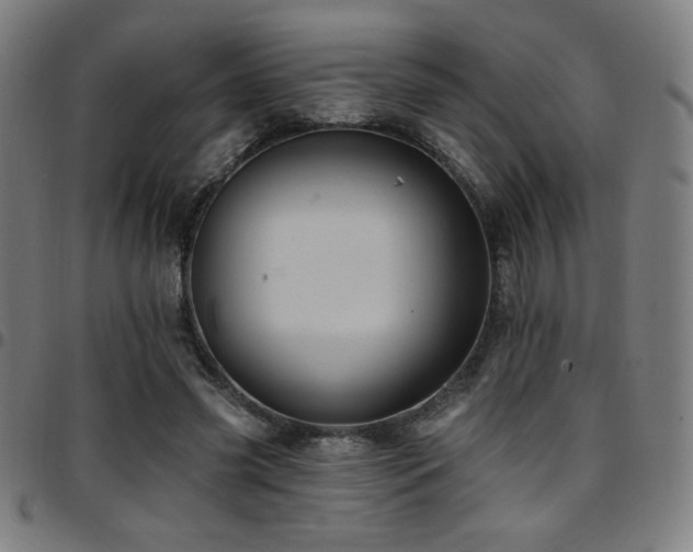 X0000097790541200803071414