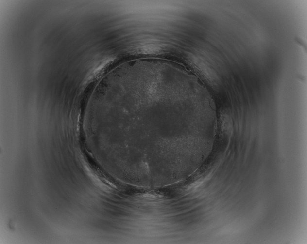 X0000097790542200803071414