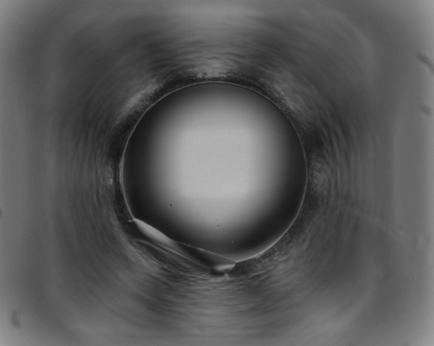 X0000097790543200803071414