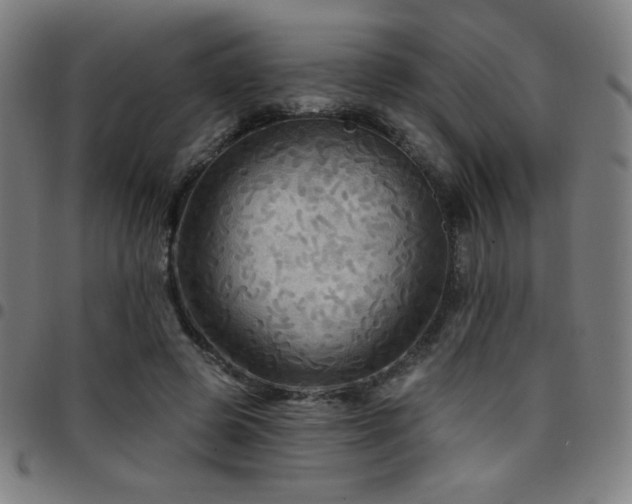 X0000097790545200803071414