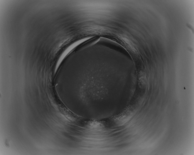 X0000097790547200803071414