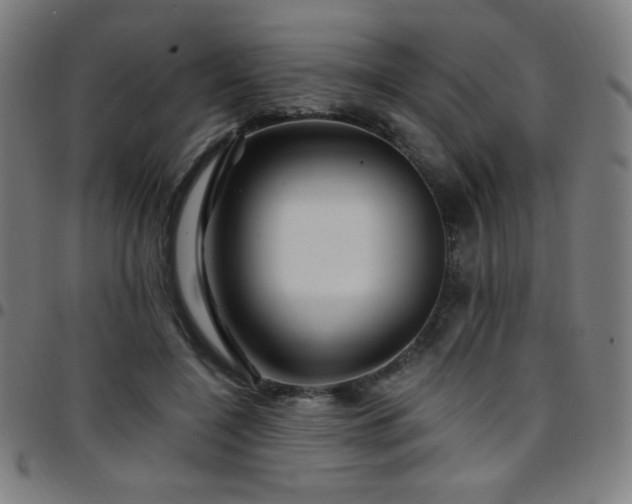 X0000097790548200803071414