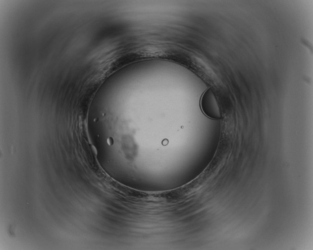 X0000097790549200803071414