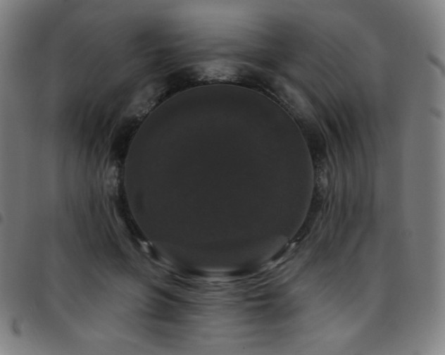 X0000097790551200803071414