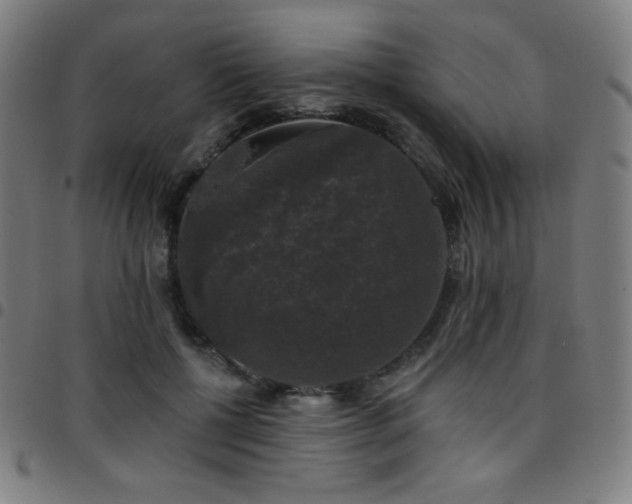 X0000097790552200803071414