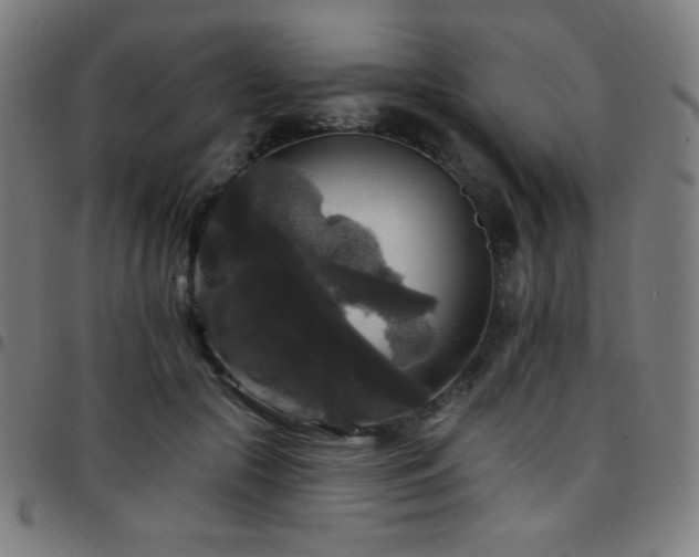 X0000097790553200803071414
