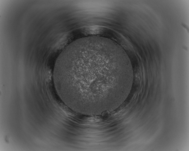 X0000097790555200803071414