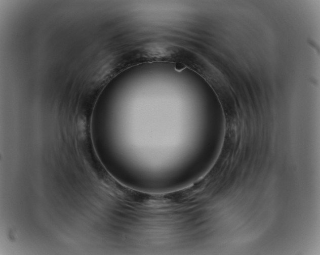 X0000097790556200803071414