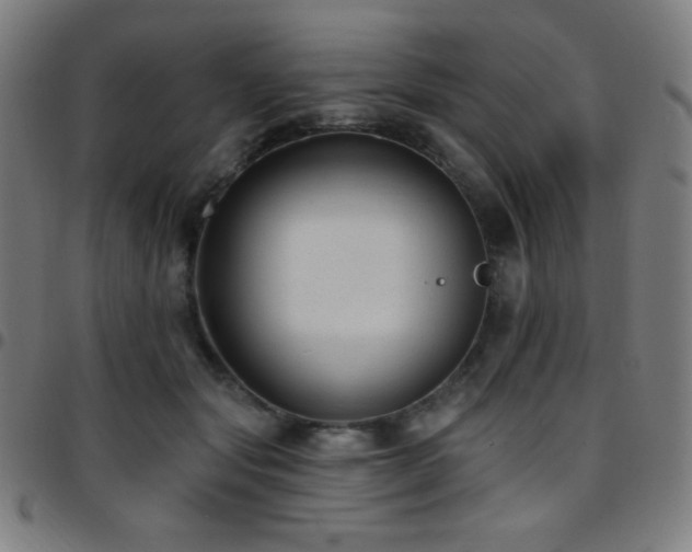 X0000097790557200803071414