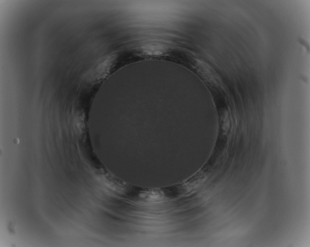 X0000097790559200803071415