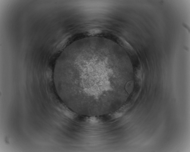 X0000097790565200803071415