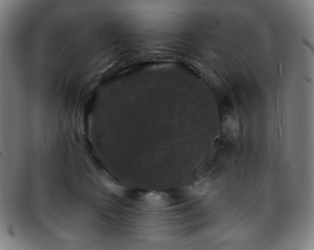 X0000097790566200803071415