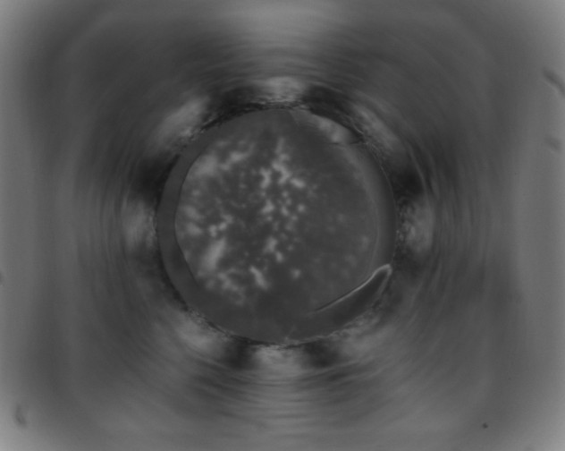 X0000097790568200803071415