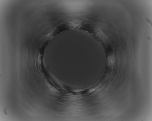 X0000097790570200803071415