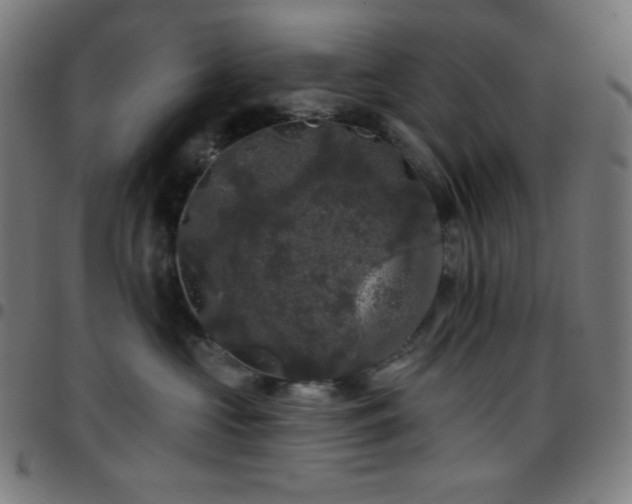 X0000097790573200803071415