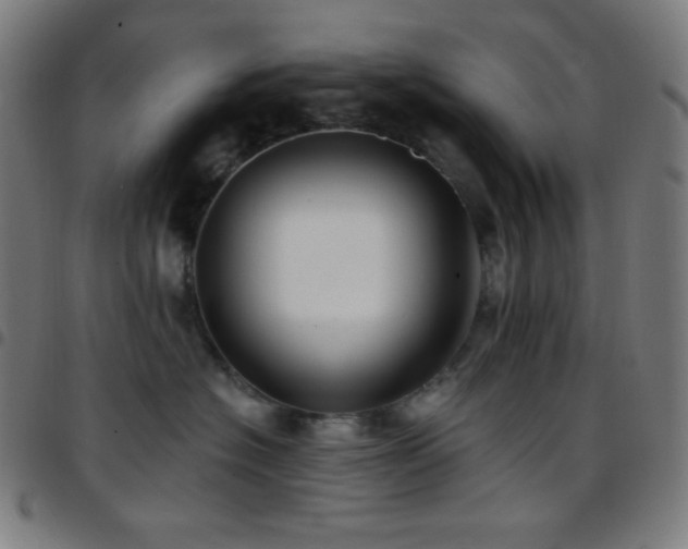 X0000097790574200803071415