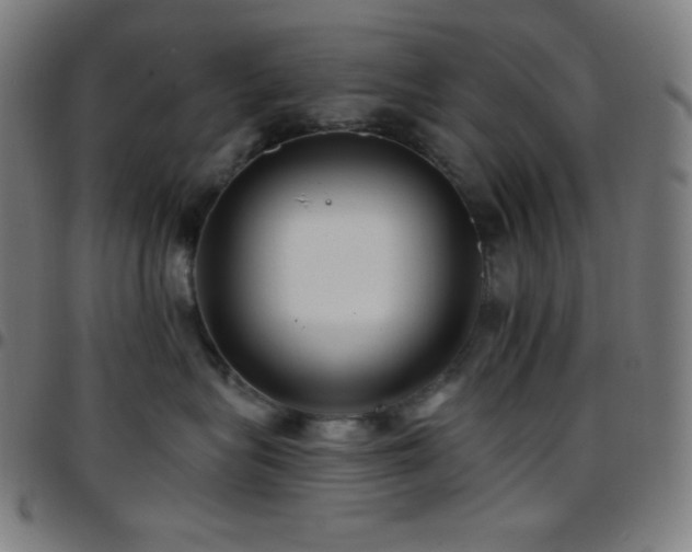 X0000097790575200803071415
