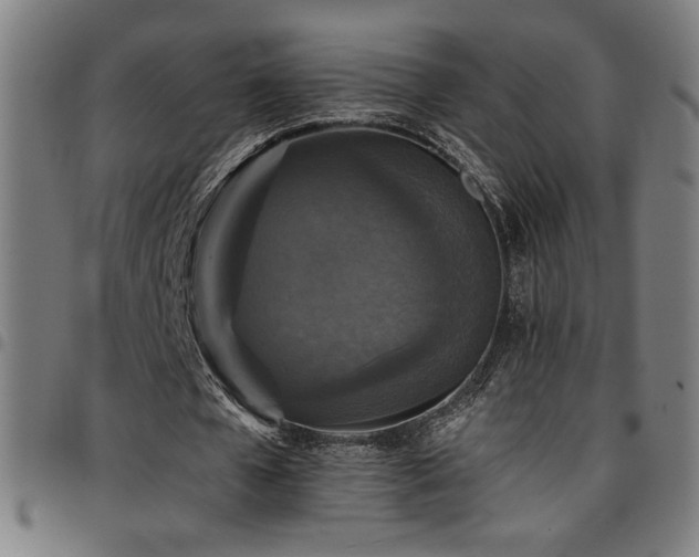 X0000097790577200803071414