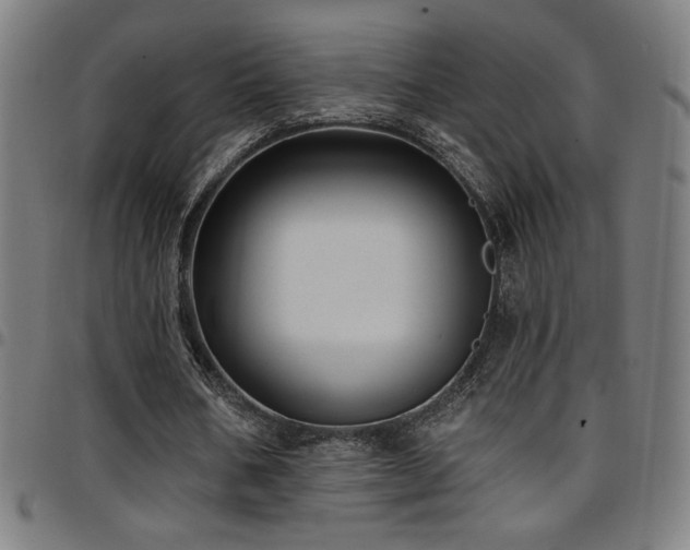 X0000097790578200803071414