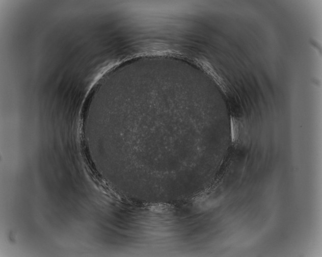 X0000097790579200803071414