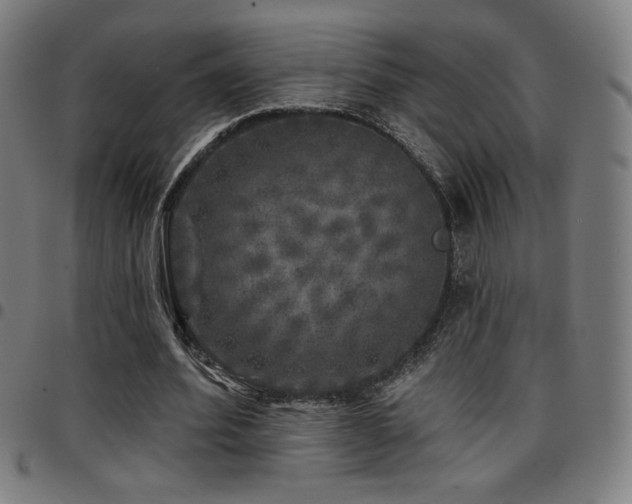 X0000097790580200803071414