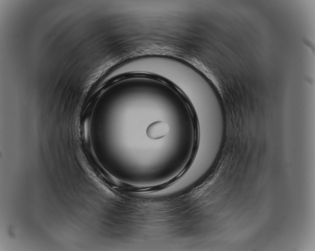 X0000097790581200803071414