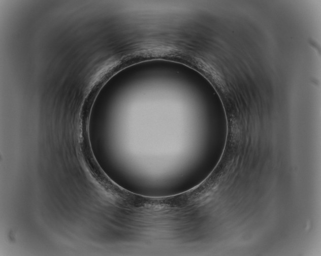 X0000097790582200803071414