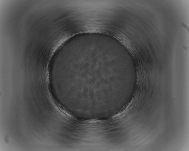X0000097790584200803071414